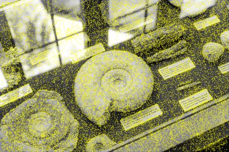 Fast Feature Detector