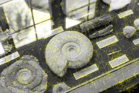 Fast Feature Detector, with small features removed for clarity