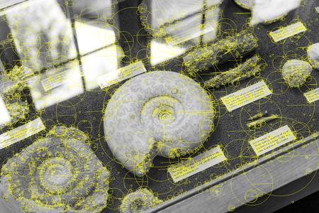 SIFT <em>without</em> the initial 2x upscale